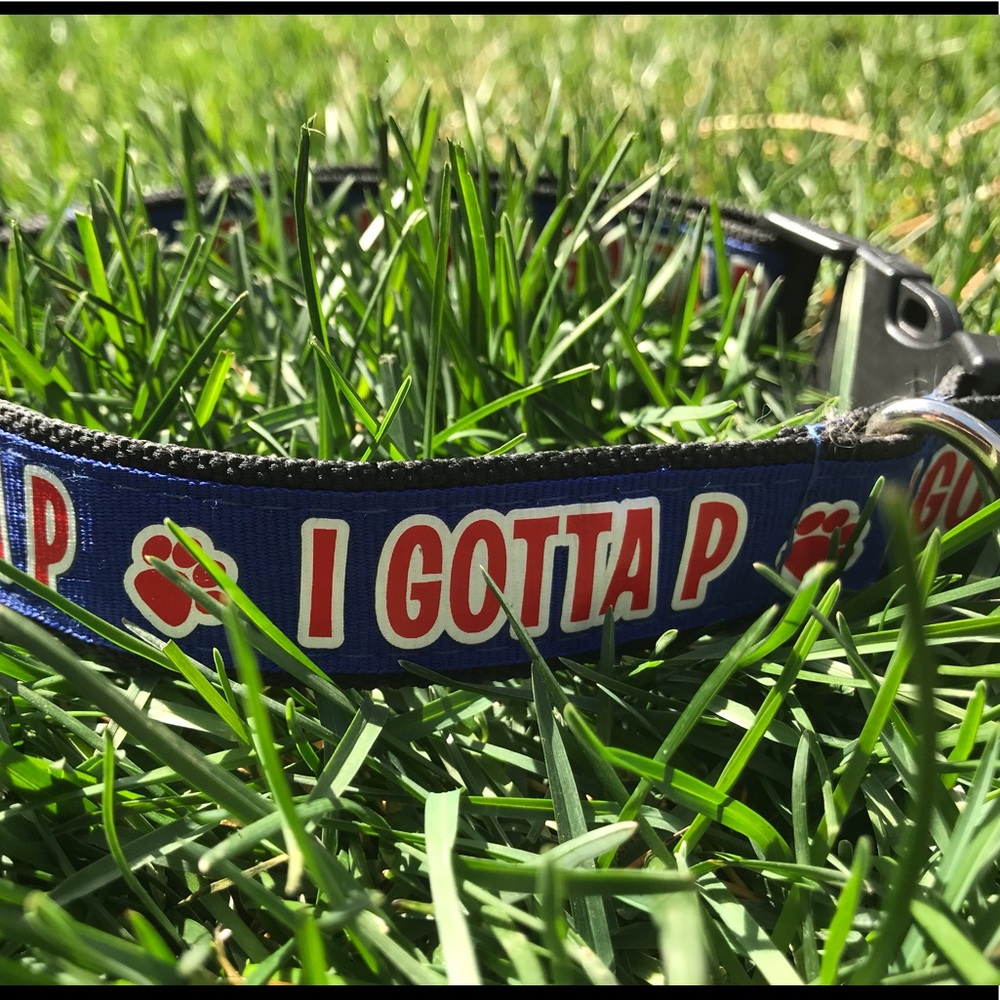 Dog Collar,  Forest Gump Quote